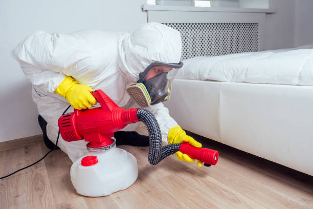 Best Bed Bug Extermination  in Barnum Island, NY